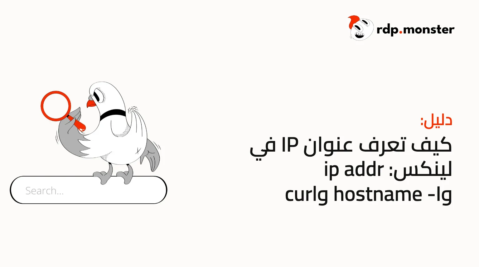 كيف تعرف عنوان IP في لينكس: ip addr وhostname -I وcurl