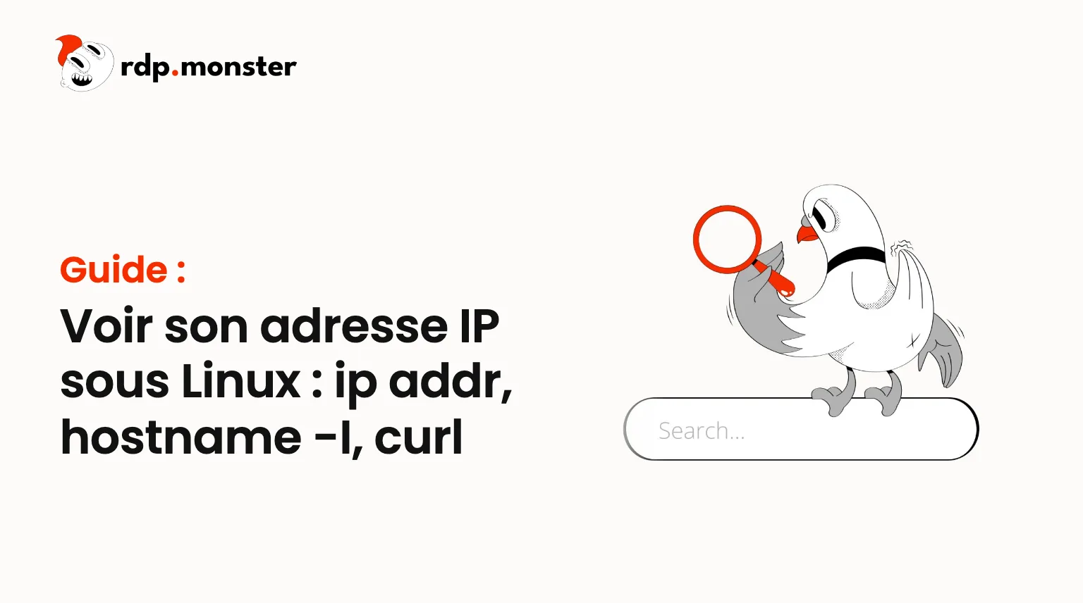 Voir son adresse IP sous Linux : ip addr, hostname -I, curl