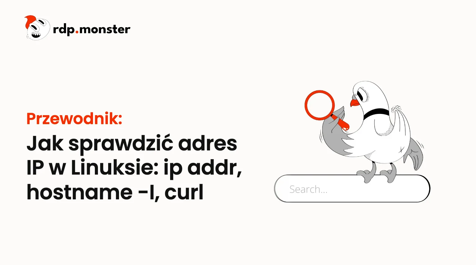 Jak sprawdzić adres IP w Linuksie: ip addr, hostname -I, curl