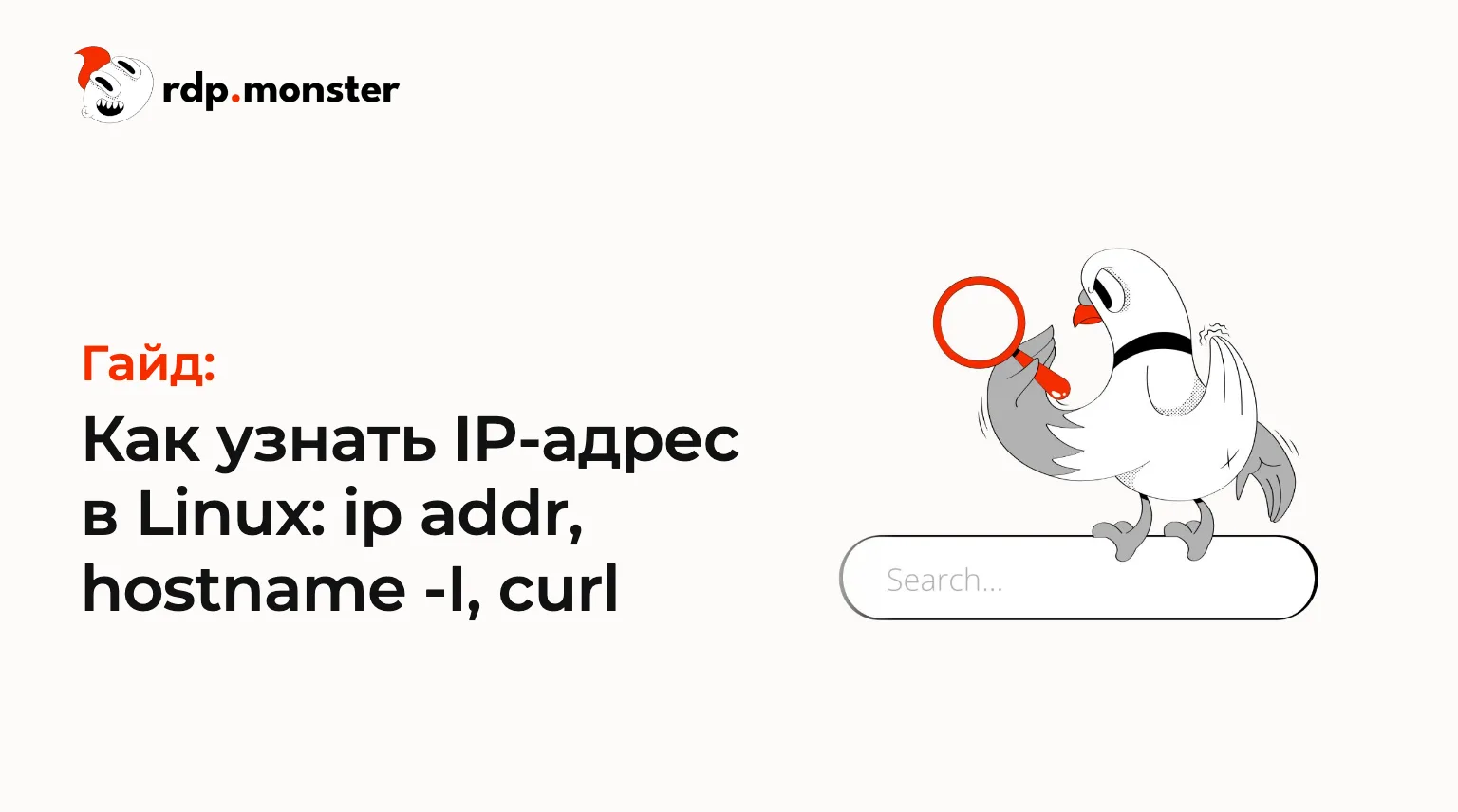 Как узнать IP-адрес в Linux: ip addr, hostname -I, curl