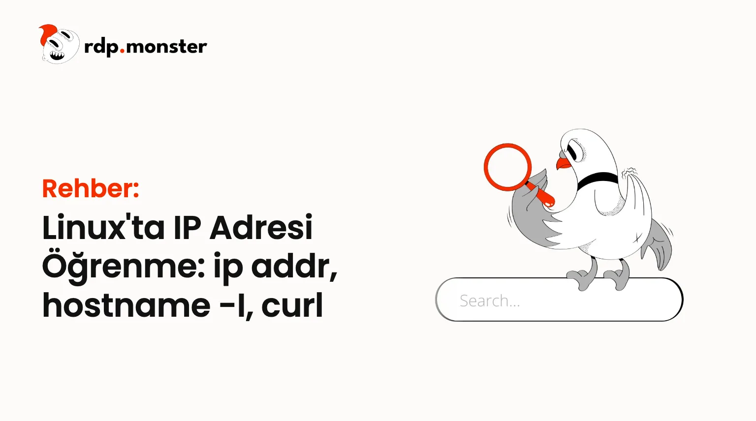 Linux'ta IP Adresi Öğrenme: ip addr, hostname -I, curl