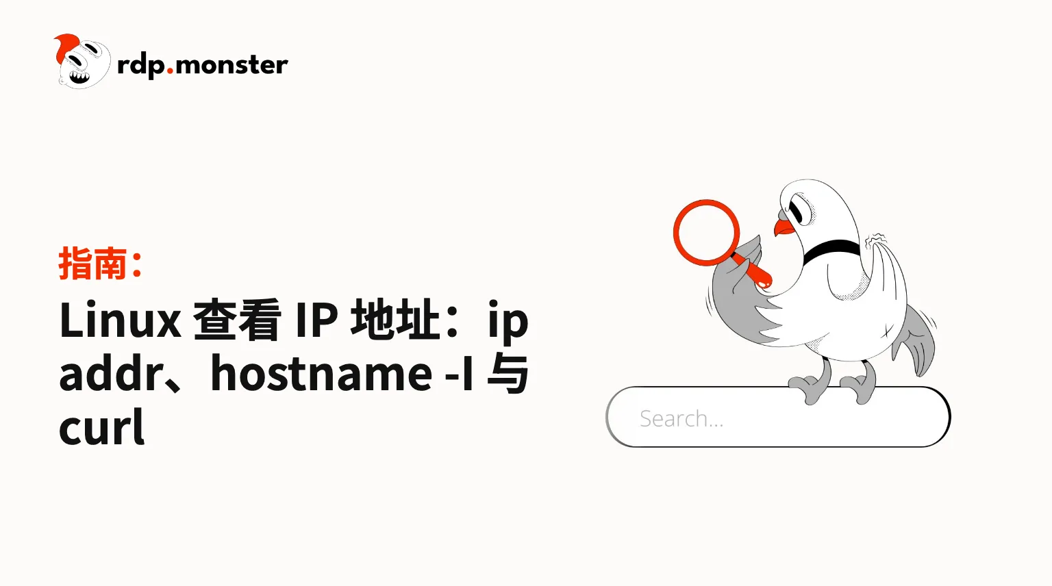 Linux 查看 IP 地址:ip addr、hostname -I 与 curl